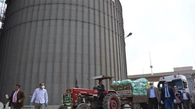 صوامع الدقهلية تستقبل 133 ألف طن قمح منذ بدء موسم التوريد