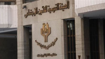 وزيرة التضامن توافق على محاكمة 7 مديرين و9 محامين بـ