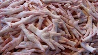 ضبط مخزن بداخله 12.6  طن أرجل دواجن فاسدة قبل تصديرها لإحدى الدول بالسلام 