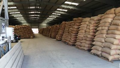 صوامع الدقهلية تستقبل 139 ألف طن قمح منذ بدء موسم التوريد | صور