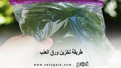 طريقة تخزين ورق العنب