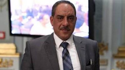 نائب شربين عن واقعة إلهامى عجينة: ليست أول مرة.. ووراؤها دافع سياسي