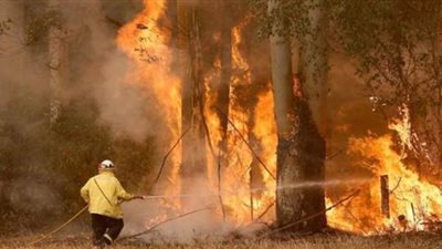 ابتكار وسائل تكنولوجية للتنبؤ بحرائق الغابات في أستراليا