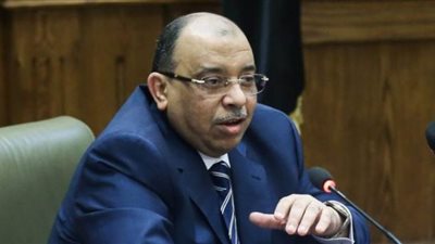 شعراوي: تدريب موظفى المحليات على التحول الرقمى 