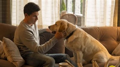 تجديد مسلسل 