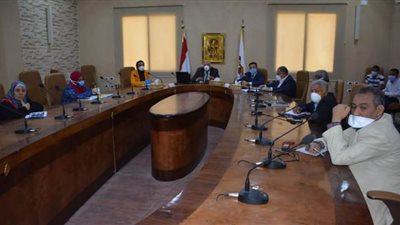 متابعة تطبيق إجراءات الوقاية من كورونا في 118 محلا تجاريا بالوادي الجديد