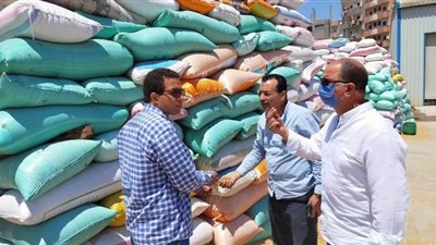 توريد 183 ألف طن قمح لشون وصوامع البحيرة