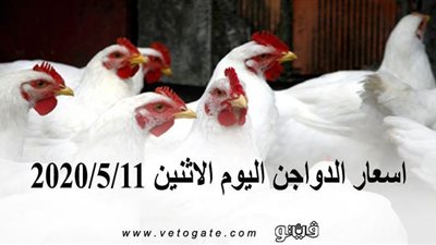 سعر الفراخ البيضاء اليوم.. اسعار الدواجن اليوم الاثنين 2020/5/11