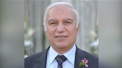 رئيس رابطة الصناعات المغذية للسيارات يطالب بتقييم تجربة مصر مع صندوق النقد 