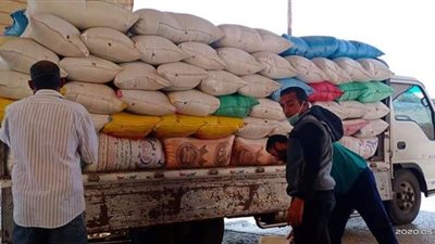 توريد 122 ألفا و948 طن قمح لشون وصوامع كفر الشيخ | صور