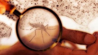 الاسباب التي تؤدي إلى الإصابة بحمي الضنك