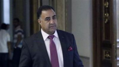 إلهامي عجينة: تلقيت مستندات تكشف فسادا ماليا بمستشفى شربين بعد فيديو الخناقة