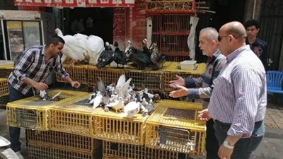 حملة مكبرة لإزالة إشغالات الباعة الجائلين بالإسكندرية