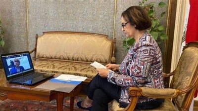 مصر تشارك باجتماع منظمة الأمن والتعاون في أوروبا عبر 