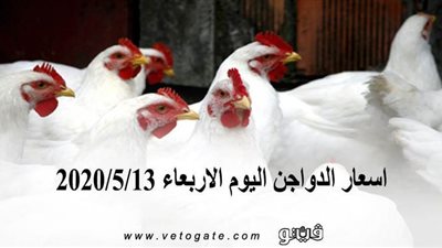 اسعار الدواجن اليوم الاربعاء 2020/5/13