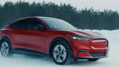 نتائج فتح تراخيص السيارات