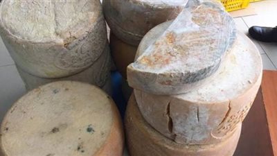 ضبط وإعدام ٣٧٠ كيلو أغذية منتهية الصلاحية بشرم الشيخ | صور