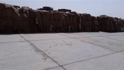 توريد 209 آلاف و276 طنا من القمح لشون وصوامع البحيرة