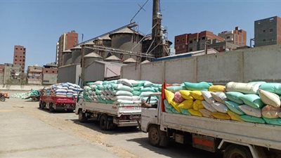 توريد 156 ألف طن قمح لصوامع وشون الدقهلية | صور