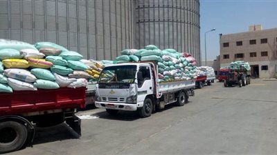 توريد 4677 طنا من القمح للصوامع والشون بقنا