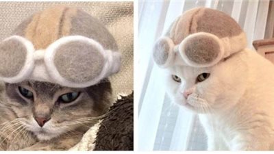 من خلال الفراء المتساقط.. يابانيان يبتكران قبعات جديدة للقطط | صور