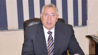 وزير الزراعة: ننتج 9 ملايين طن قمح سنويًا ونستورد مثلها