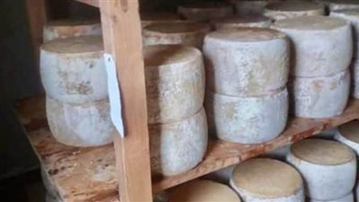 ضبط صاحب مصنع ونجله لإعادة تدويرهما الجبن الأبيض منتهي الصلاحية بالشرقية