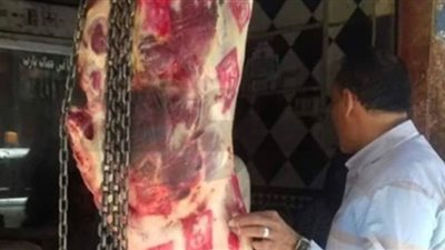 بيطري المنيا يُحرر 8 محاضر ويضبط 652 كيلو لحوم فاسدة