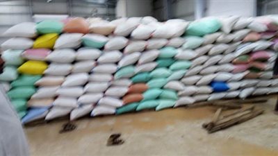 توريد 233 ألفاً و680 طناً من القمح لشون وصوامع البحيرة