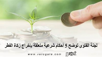 لجنة الفتوى توضح 5 أحكام شرعية متعلقة بإخراج زكاة الفطر | إنفوجراف