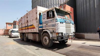 توريد 243 ألفا و340 طنا من القمح لشون وصوامع البحيرة