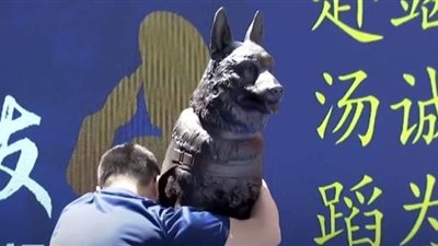 في الذكرى الـ 12 لزلزال ونتشوان.. الصين تدشن تمثالا لكلب إنقاذ| فيديو