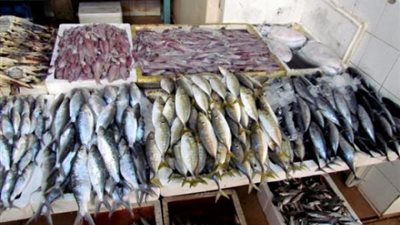 20 % زيادة في الطلب على الأسماك