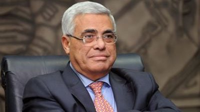 نافعة: الانقسام المصرى لن ينتهى قريبا