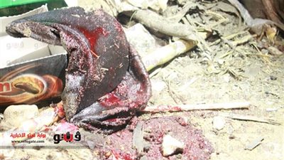 «الإرهاب الغاشم» يحصد الأرواح في «المدينة الجامعية بالأزهر».. الحزن يخيم على المحافظات.. «الفيوم» تشيع جنازة «معوض».. «البحيرة» تنتظر وصول «تامر&