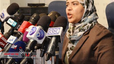 بالفيديو والصور.. ابن خلدون: تظاهرات الإخوان لم تؤثر على تصويت المصريين بالخارج