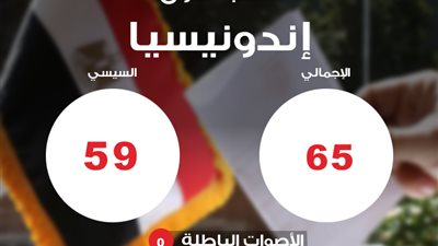 «السيسي» يحصد 59 صوتًا في «إندونيسيا» مقابل 6 لـ«صباحي»