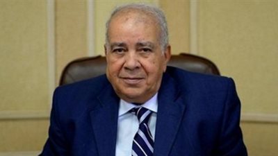 «العجاتي»: نحتاج أسبوعا لتعديل قانون الخدمة المدنية