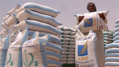 150 جنيهًا لشيكارة الذرة البيضاء بالدقهلية اليوم