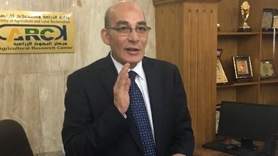 ​​تقرير: 2.8 مليون فدان مزروعة بالقمح مقابل 2.7 العام الماضي