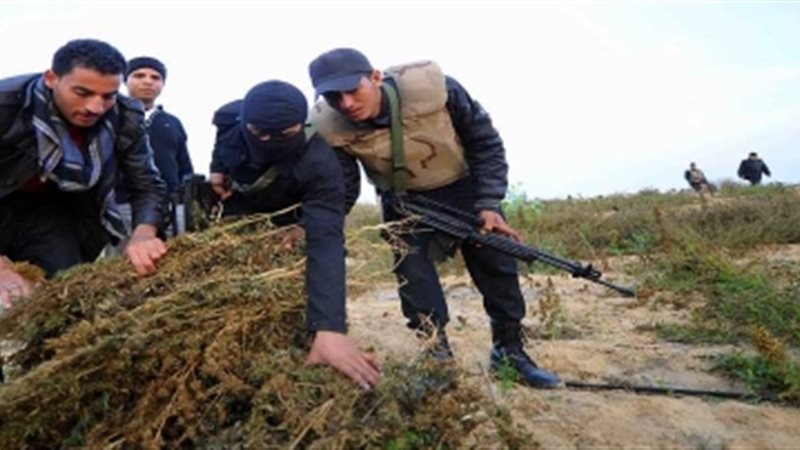 صورة ارشيفية