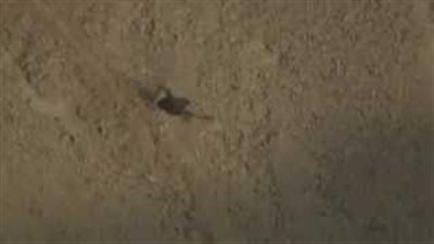 بالفيديو.. عمرو يوسف يسقط من فوق جبل أثناء تصوير 