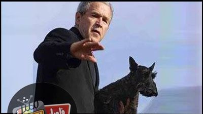 ساخرون.. نشطاء يقدمون العزاء لـ 