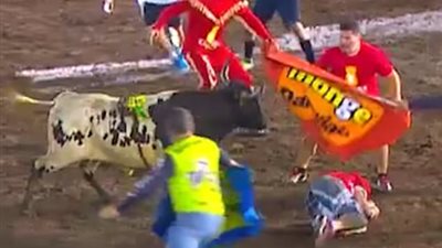 ثور يهاجم رجلا بعد إنقاذه من آخر (فيديو وصور)