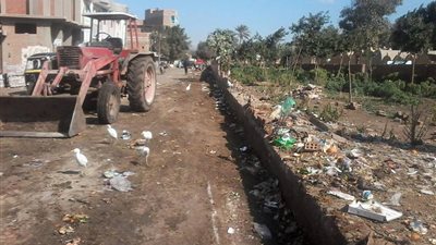 بالصور.. حملات نظافة بمداخل قرى ميت غمر لرفع تلال القمامة