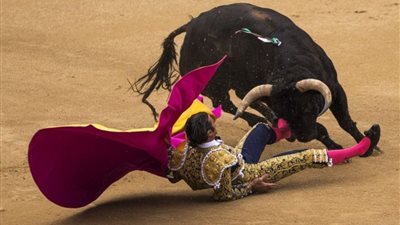 بالفيديو والصور.. ثلاثة ثيران تقلب الطاولة على مصارعيها وتصيبهم إصابات قاتلة