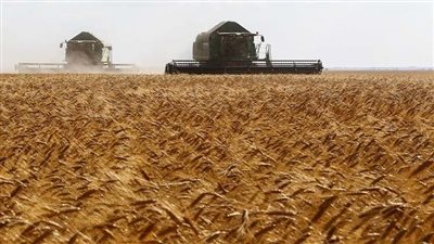 مركز دعم القانون يختصم الحكومة في قضية استيراد القمح الروسي