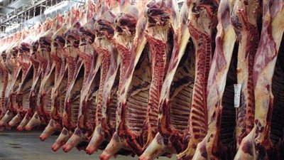 «ضد الغلاء»: 80 جنيها سعر كيلو اللحوم السودانية في 120 منفذًا