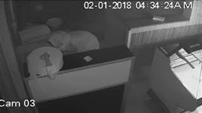 لحظة اقتحام لص محل أسماك وسرقة النقود (فيديو)