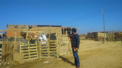 حملة لتطعيم الحيوانات بمحمية نبق في شرم الشيخ